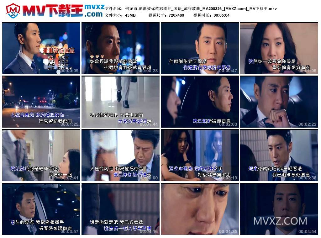 何龙雨-渐渐被你遗忘流行_国语_流行歌曲_MA200326